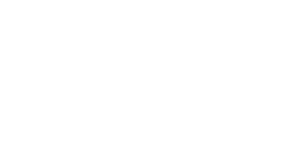Davids Roofing Gutters White Logo